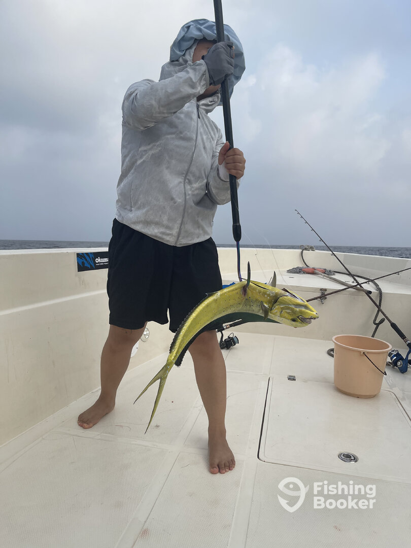 Fujairah Report Photo 0