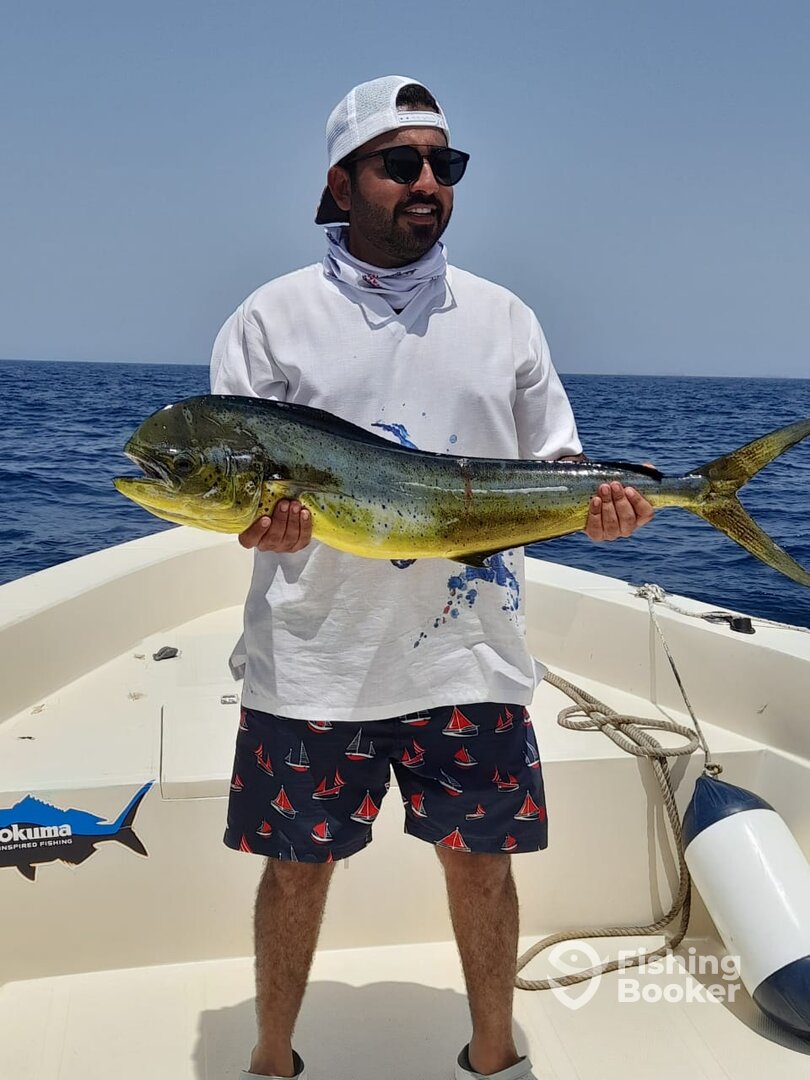 Fujairah Report Photo 0