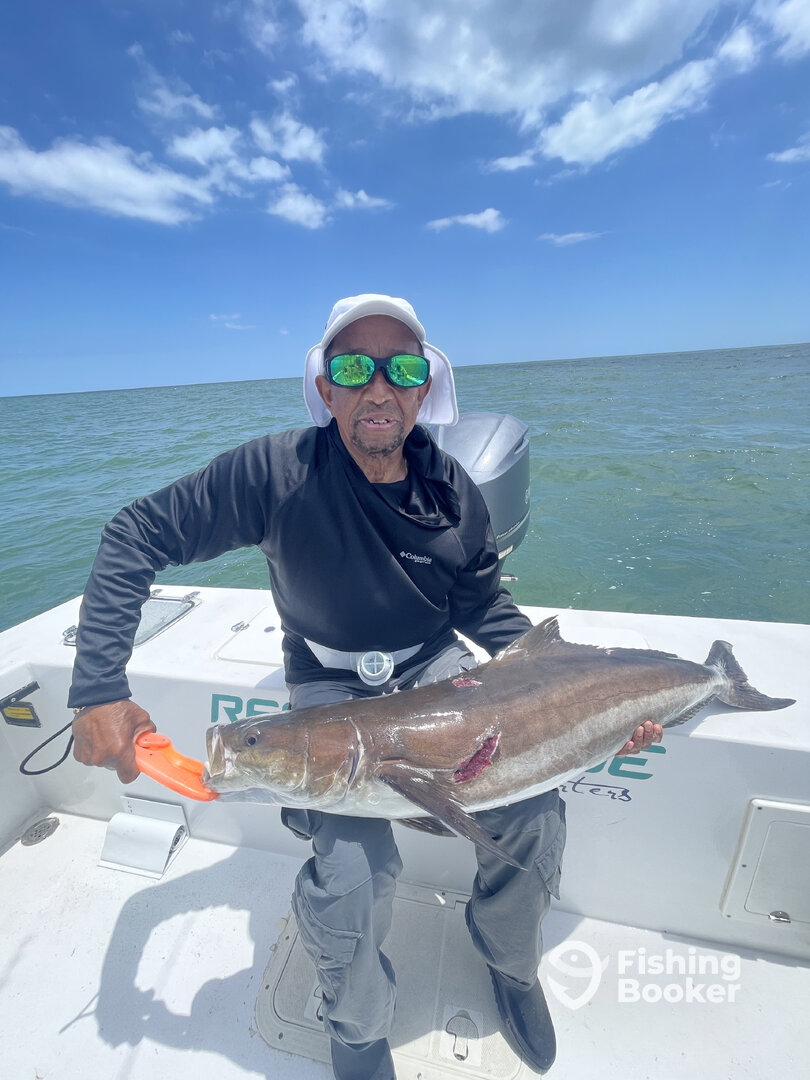 Virginia Beach Report Photo 0