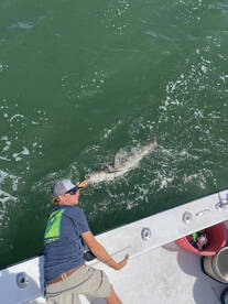 Virginia Beach Report Photo 2