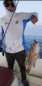 Fujairah Report Photo 2