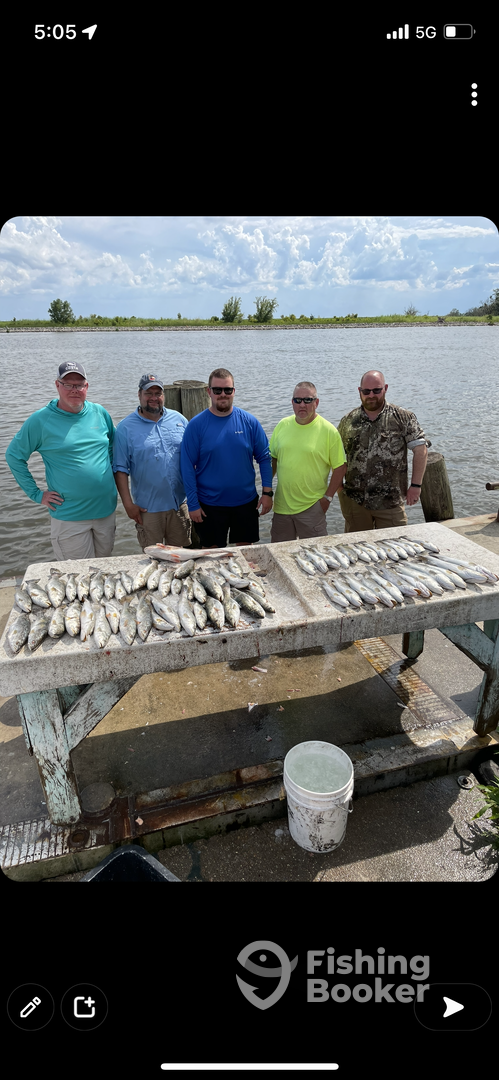 Lafitte Report Photo 0