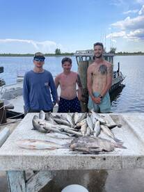 Lafitte Report Photo 2