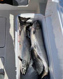 Fishing remains good!