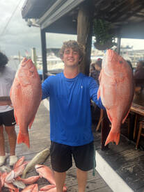 Naples Report Photo 1