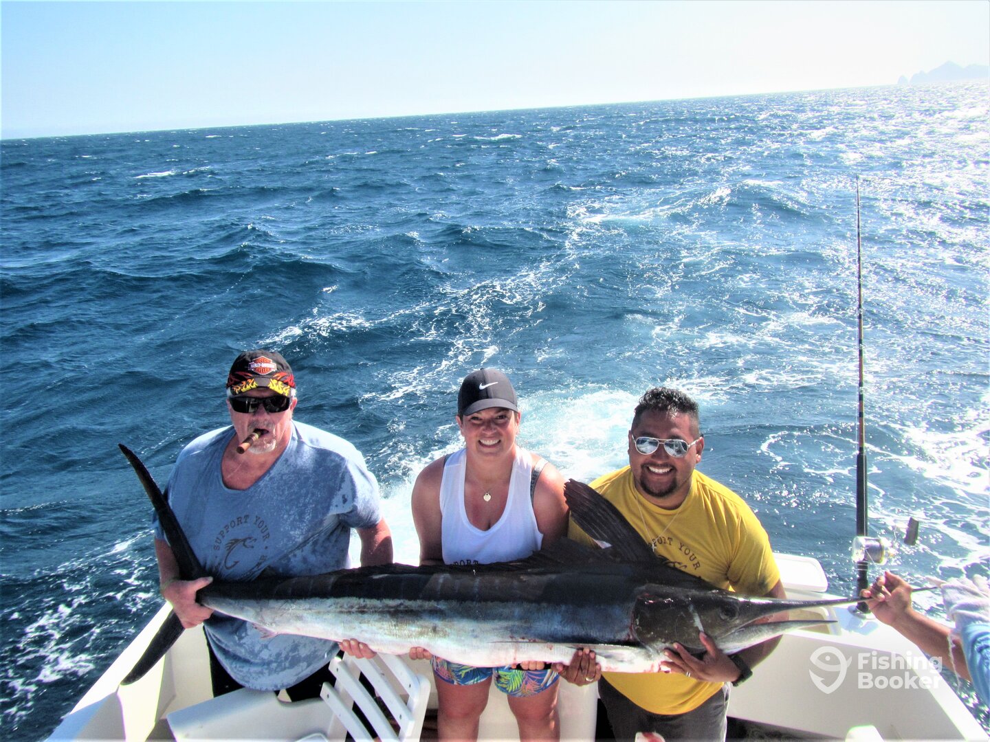 Cabo San Lucas Report Photo 0