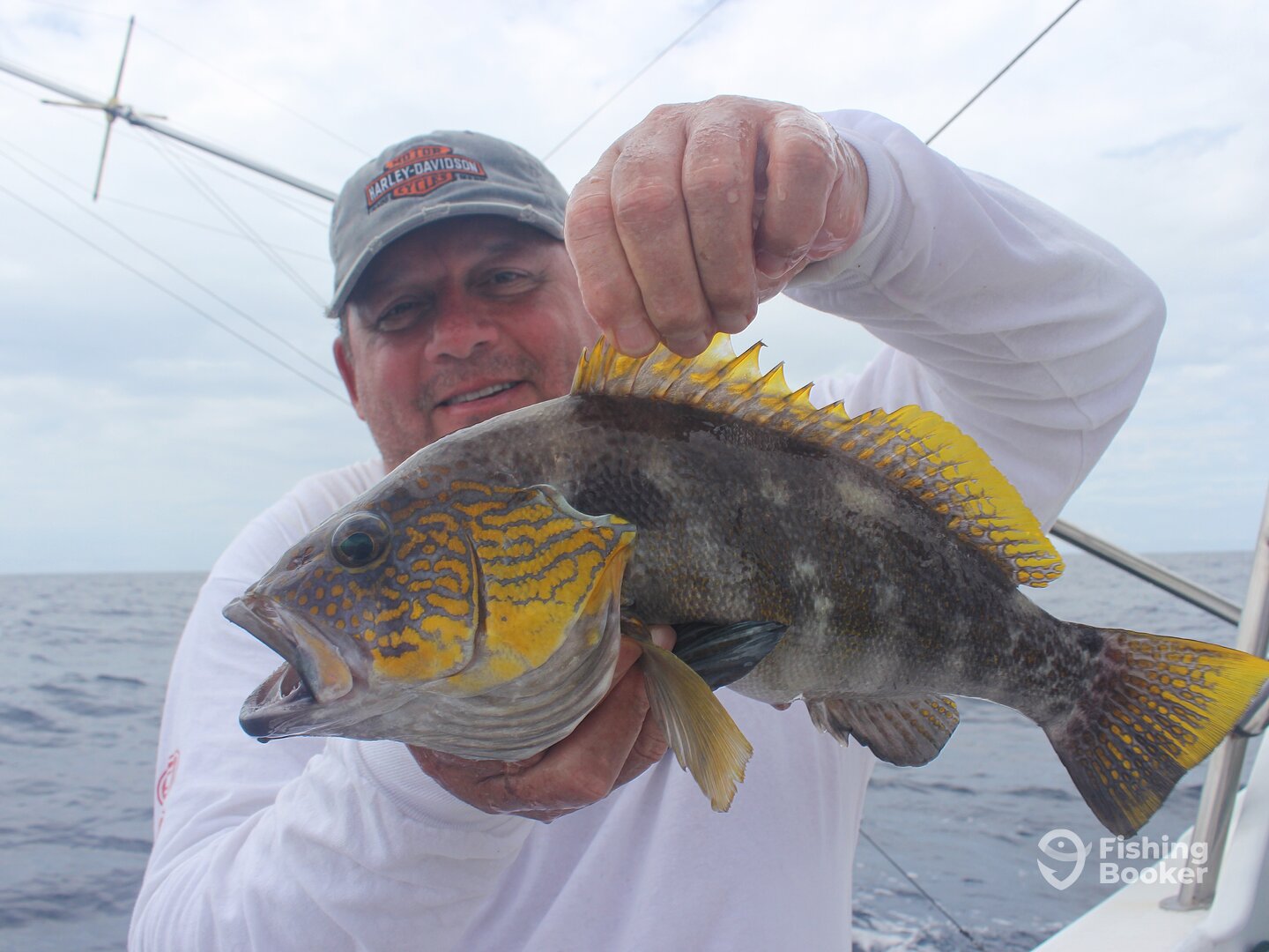 Quepos Report Photo 0