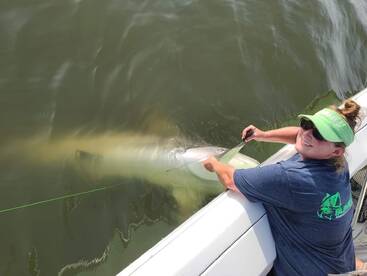 Venice Report Photo 2