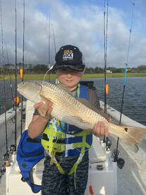 Beaufort Report Photo 1