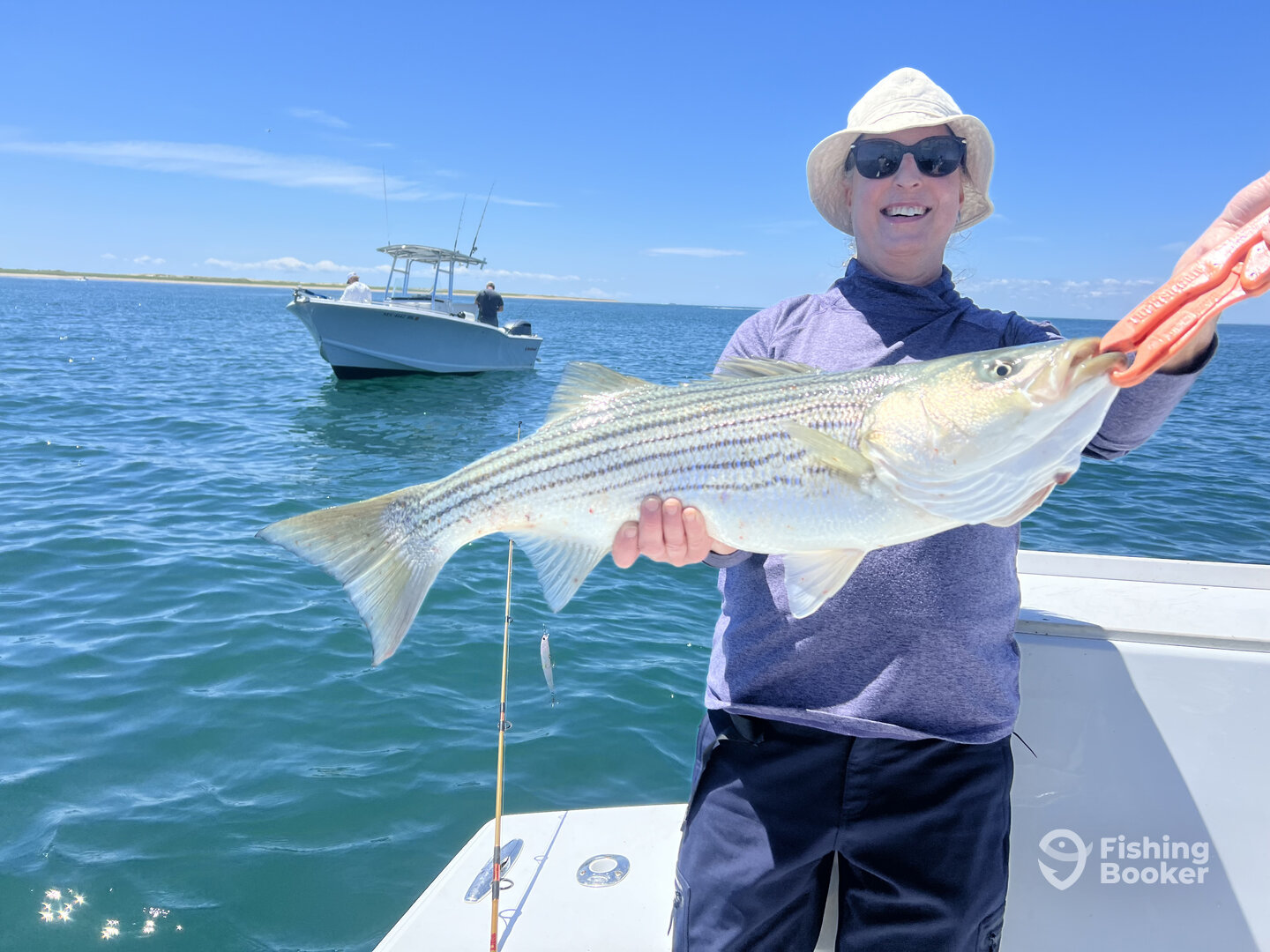 Dennis Report Photo 0