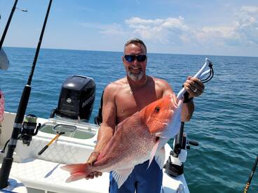Beautiful giant Snapper