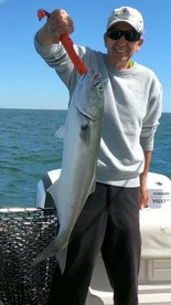 Falmouth Report Photo 2