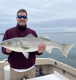 Hampton Bays Report Photo 2