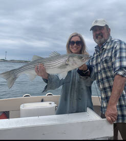 Hampton Bays Report Photo 1