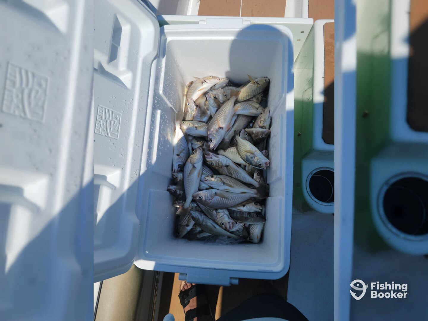 Hopewell Report Photo 0