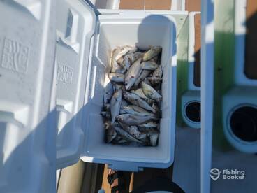 Third cooler of the day