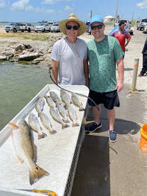 Galveston Report Photo 1