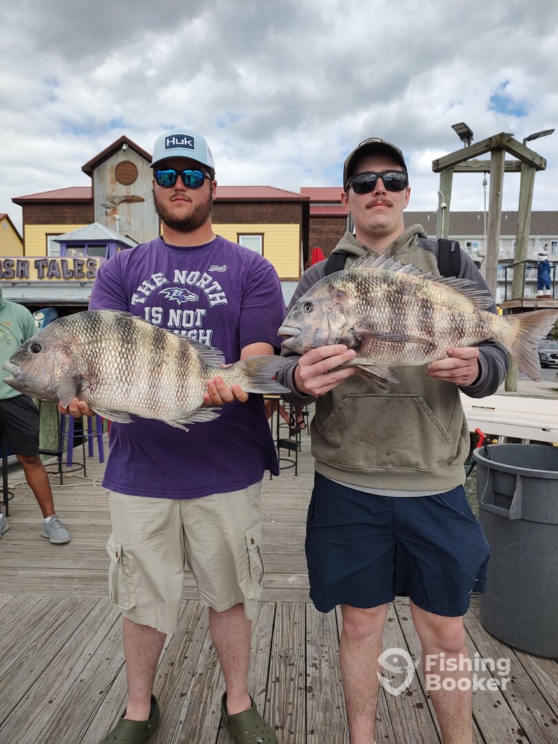 Ocean City Report Photo 0