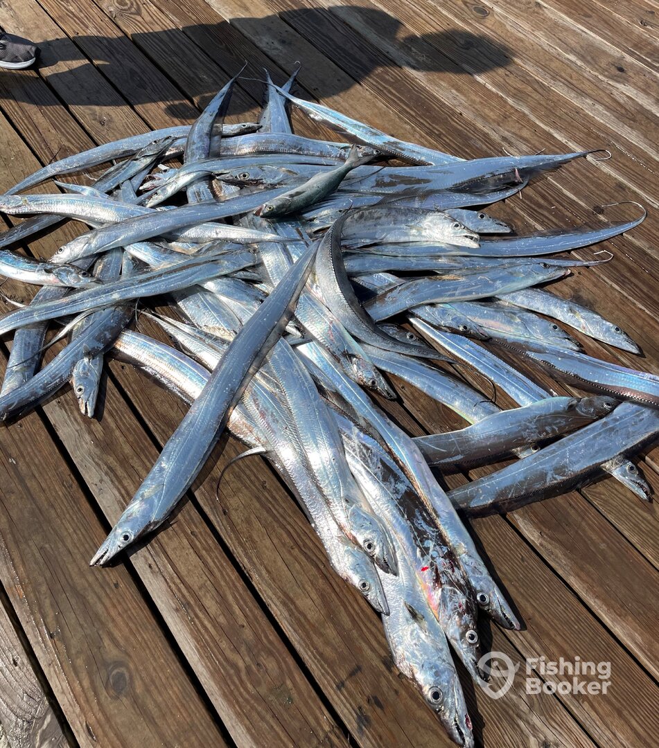 Wanchese Report Photo 0