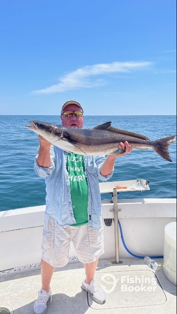 Norfolk Report Photo 0