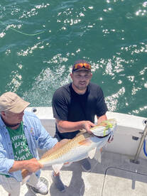 Norfolk Report Photo 2