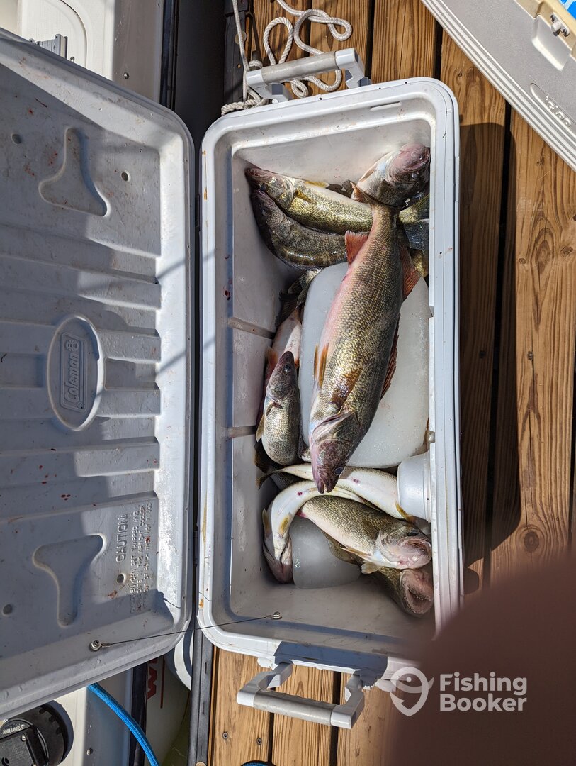 Geneva Report Photo 0