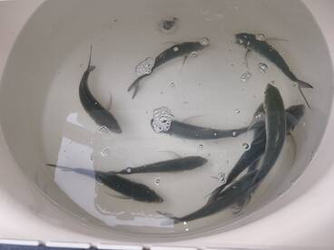 Panama City Report Photo 2