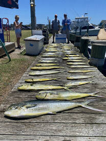 Great gulf stream fishing in june