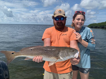 Spring Hill Report Photo 1