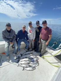 Big kings are showing up!