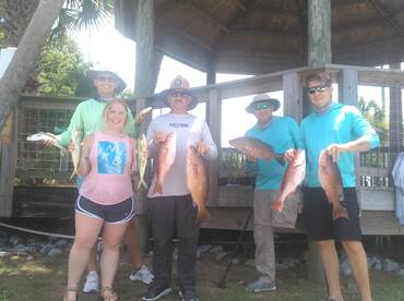 Lots of snapper and mahi