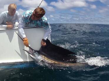 Quepos Report Photo 1