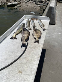 Galveston Report Photo 1