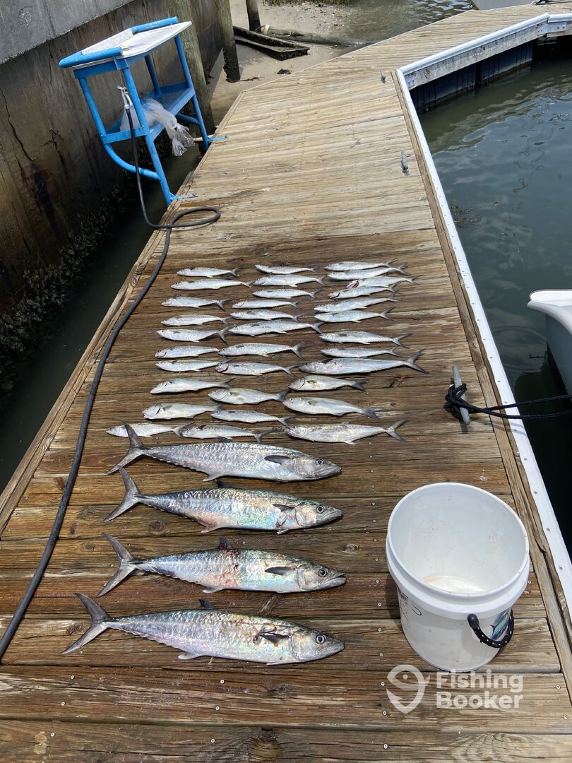 Wilmington Report Photo 0