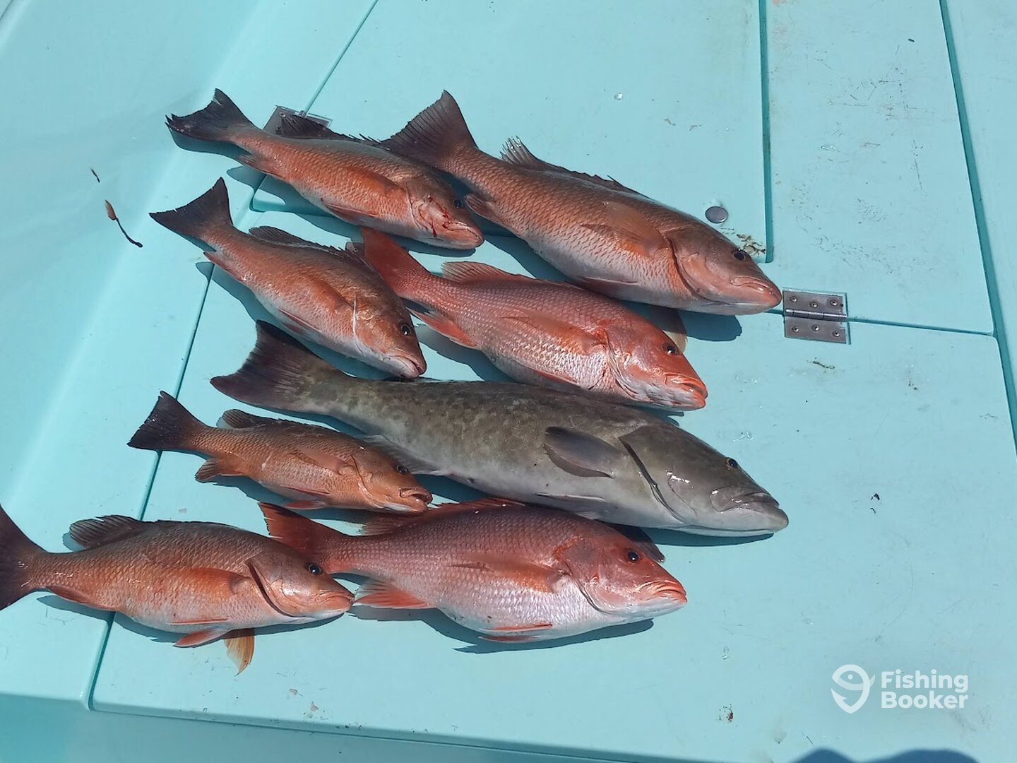 Destin Report Photo 0