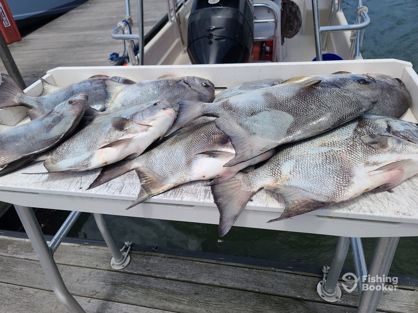 Folly Beach Report Photo 0