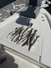 Cedar Key Report Photo 1