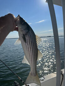 Freeport Report Photo 1