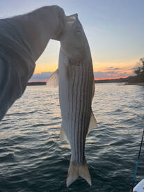 Great evening bite!