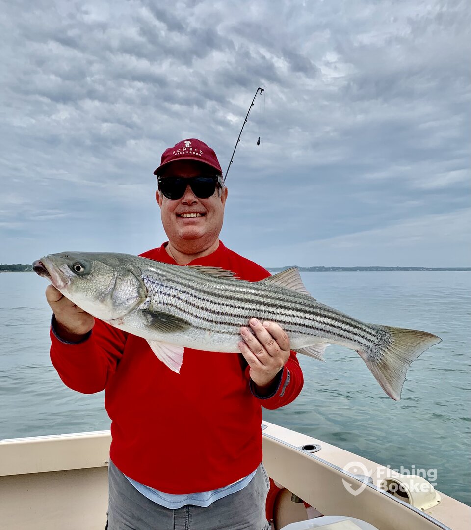 Hampton Bays Report Photo 0