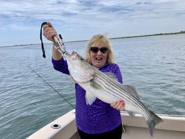 Hampton Bays Report Photo 2