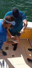 Family fun in the sound