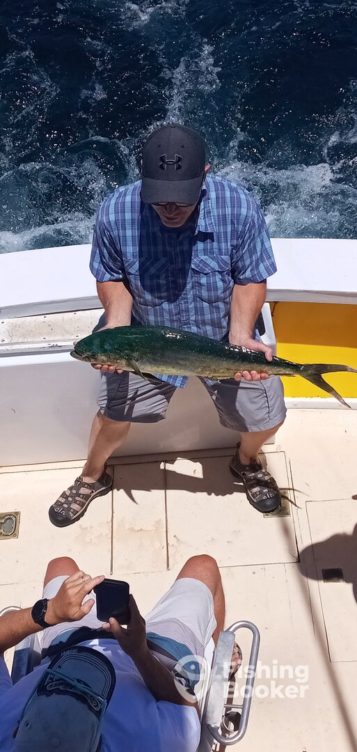 Wanchese Report Photo 0