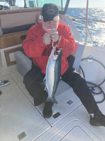 Benton Harbor Report Photo 2