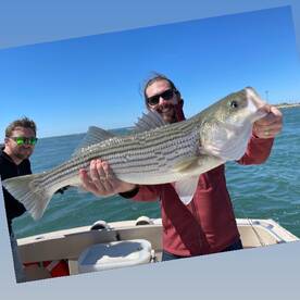 Hampton Bays Report Photo 1