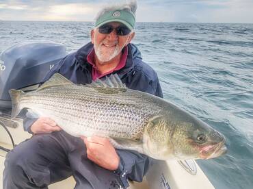 Montauk Report Photo 2