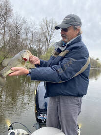 This one might be bigger 