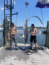 Shark time