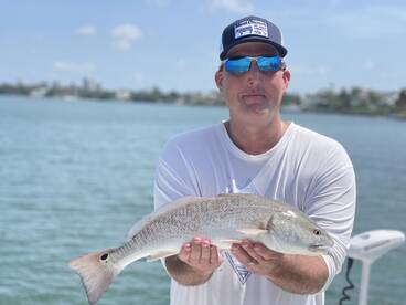 Sarasota Report Photo 2