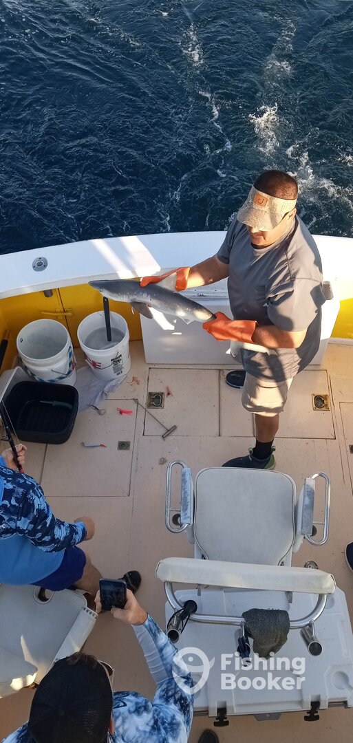 Wanchese Report Photo 0